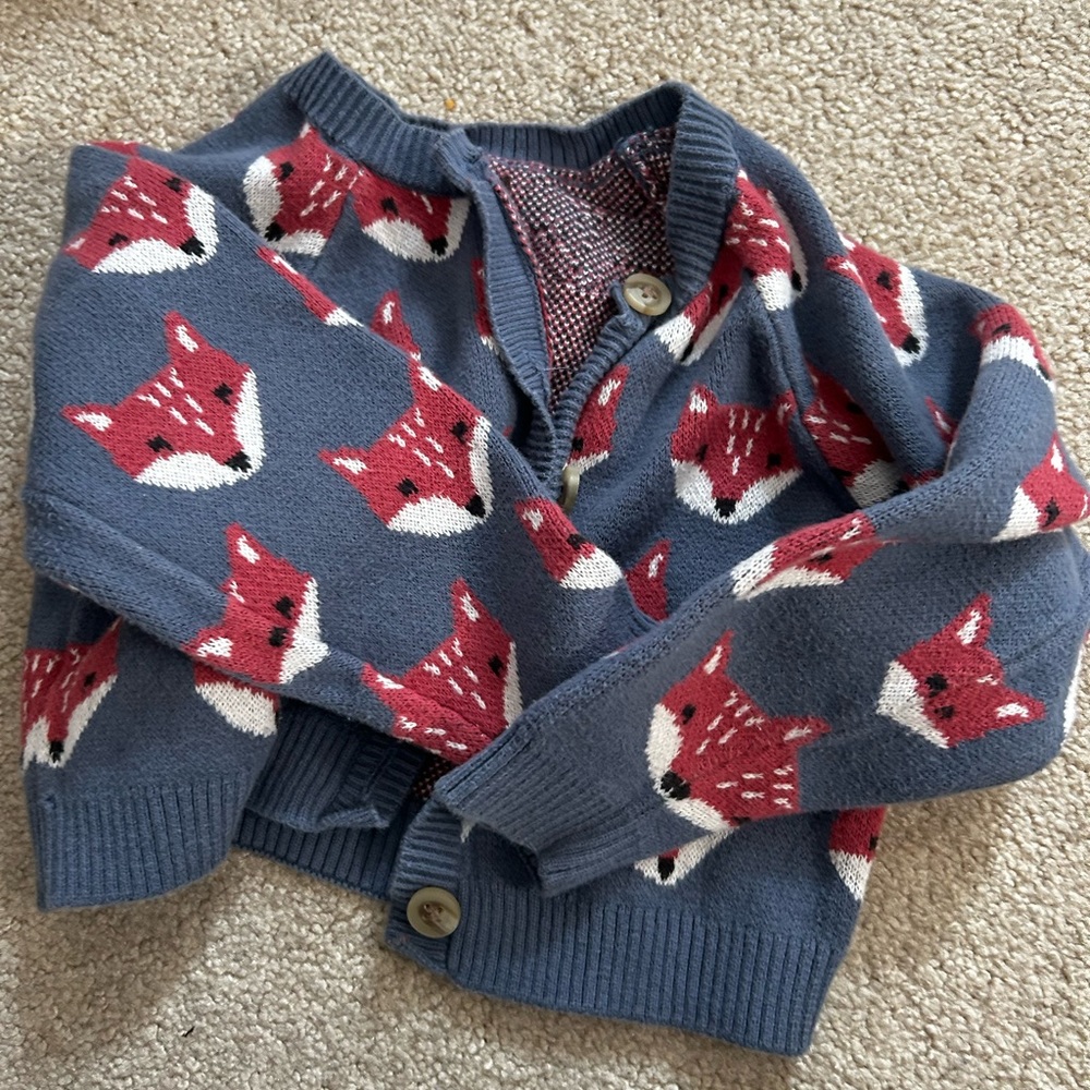 Tea Collection fox sweater